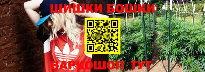 MDMA Новозыбков