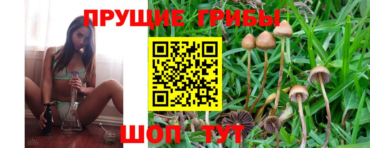 Галлюциногенные грибы GOLDEN TEACHER  Галлюциногенные грибы Cubensis  Анжеро-Судженск  Вход с VPN 